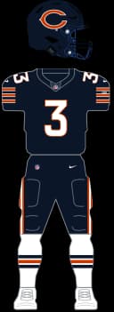 Chicago Bears Home