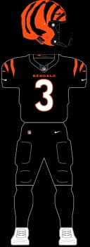 Cincinnati Bengals Home