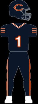 Chicago Bears Home