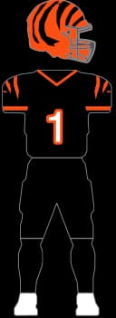 Cincinnati Bengals Home