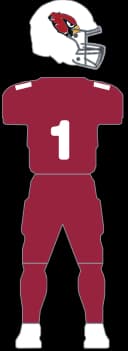 Arizona Cardinals Home