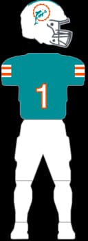 Miami Dolphins 1972 Throwback