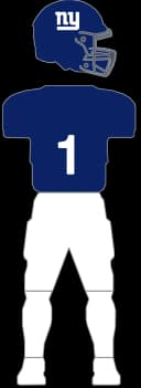 New York Giants Home