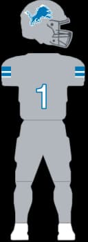 Detroit Lions Gridiron Gray
