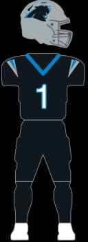 Carolina Panthers Black Alternate