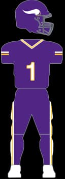 Minnesota Vikings Home