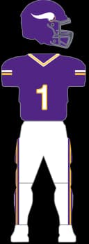Minnesota Vikings Purple Classic